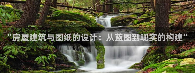 威九国际网站链接怎么打开